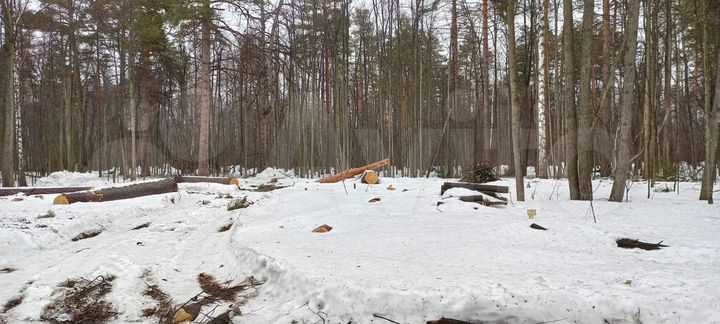 Участок 10 сот. (ИЖС)