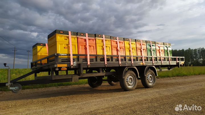 Ульи из ппу Медведь Дадан на 10 рамок