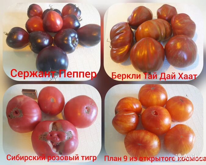 Семена вкуснейших коллекционных томатов