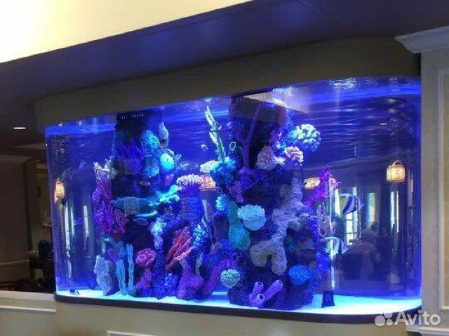 Аквариумный Холодильник Teco TK500