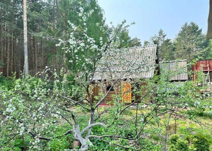 Дом 63 м² на участке 6 сот.