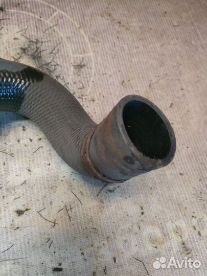 Патрубок радиатора Renault Koleos hyoc 2TR 2009