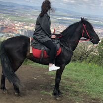 Конные прогулки, Махачкала