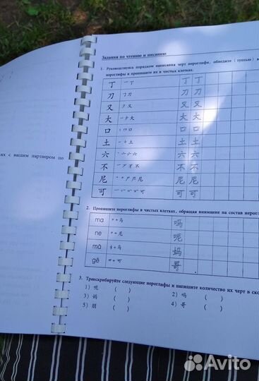 Новый практический курс китайского языка 1