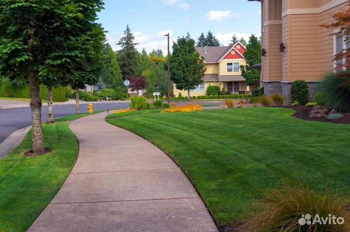 Рулонный газон производство, доставка, укладка