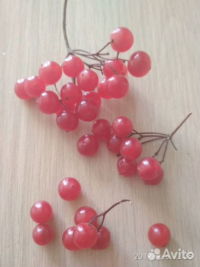 Саженцы калины