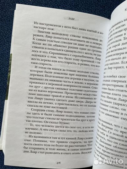 Книга Евгений Водолазгин Лавр