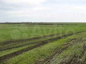 Участок 1,98 га (ИЖС)