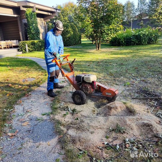 Спил, опиливание деревьев, спилить дерево