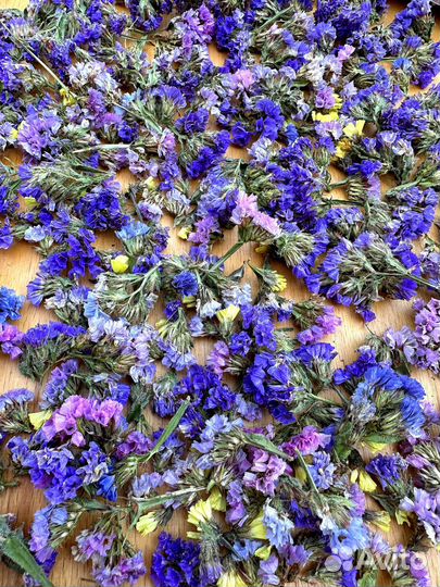 Сухие цветы