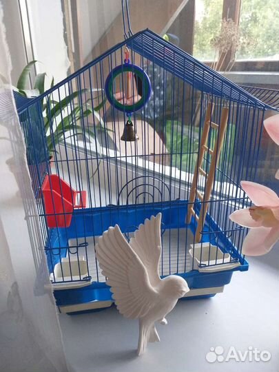 Клетка для попугайчика