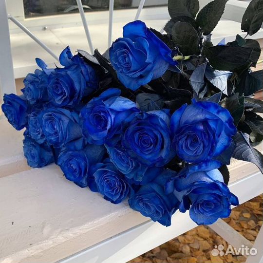 Cиние розы оптом