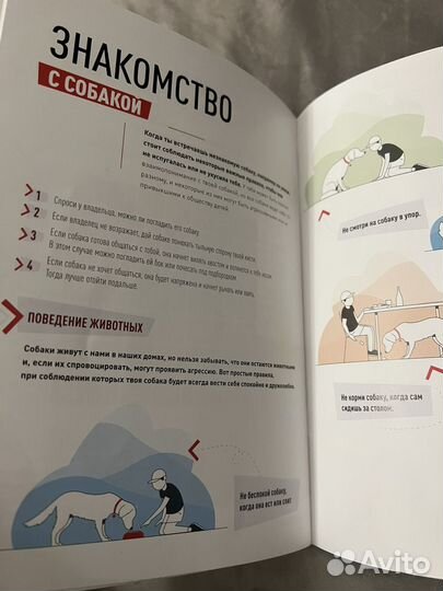 Книжка учимся вместе с собакой