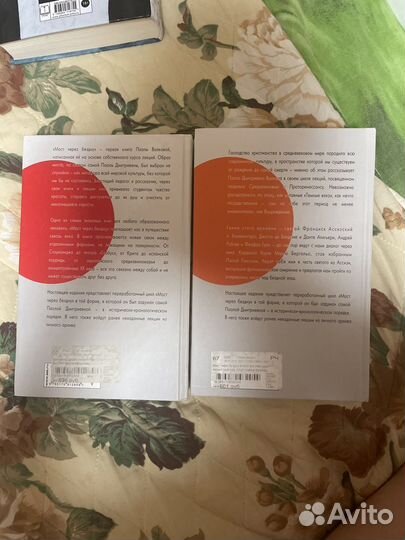 Паола Волкова мост через бездну