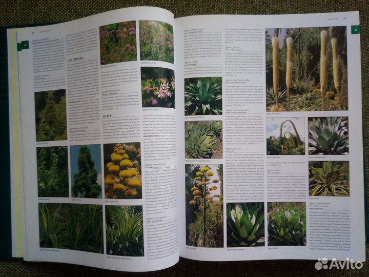 Книга 10 000 Растений Konemann