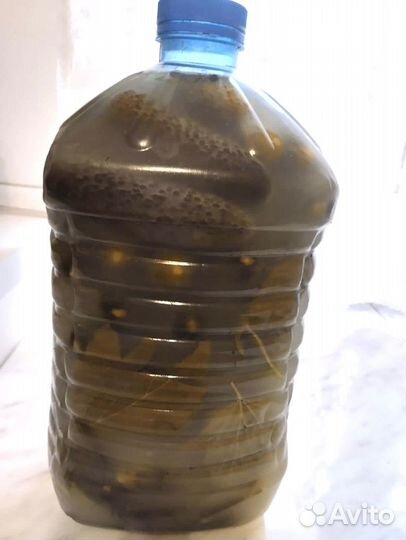 Огурцы соленые