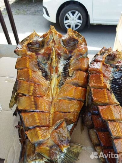 Копченая и вяленая рыба свежая