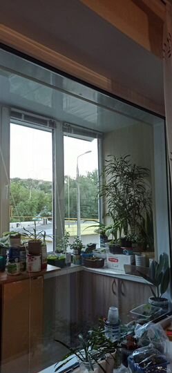 3-к. квартира, 98,6 м², 2/10 эт.