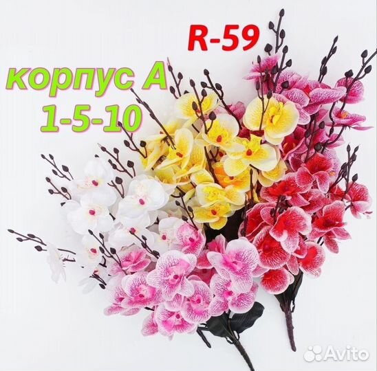 Дендробиум