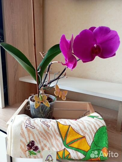 Полотенце для кухни