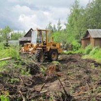 Расчистка участка от молодой поросли