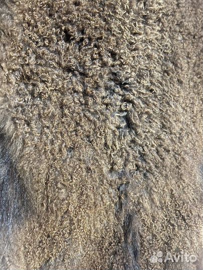 Шкура козленка цельная