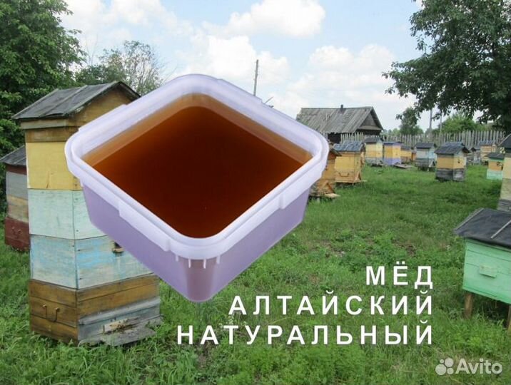 Мед натуральный с Алтая опт