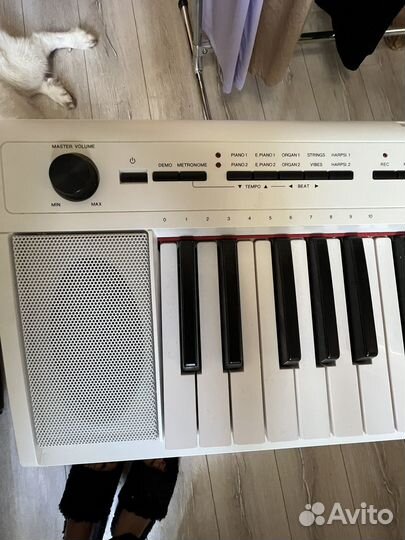 Синтезатор Yamaha NP-12WH