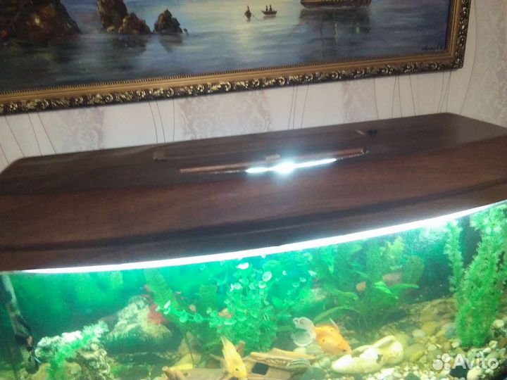 Аквариумы от 200 литров