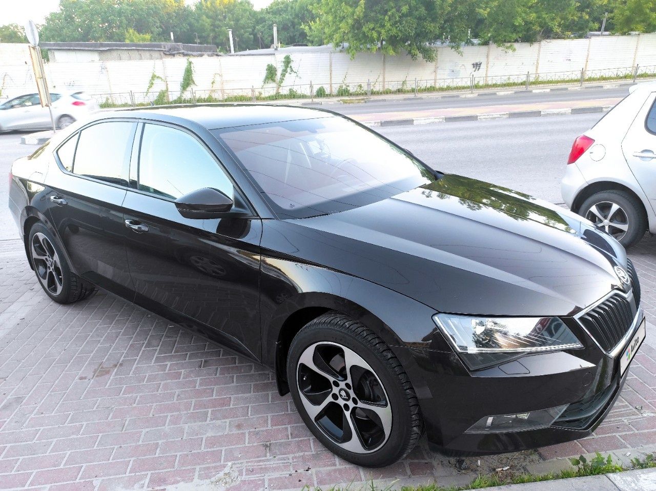 Skoda Superb: фото владельца