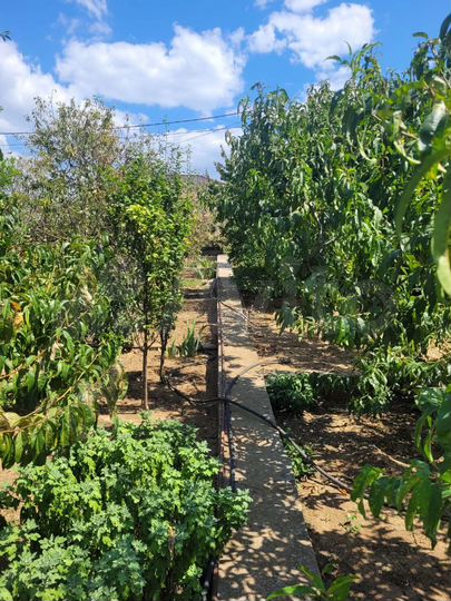 Участок 4,8 сот. (СНТ, ДНП)