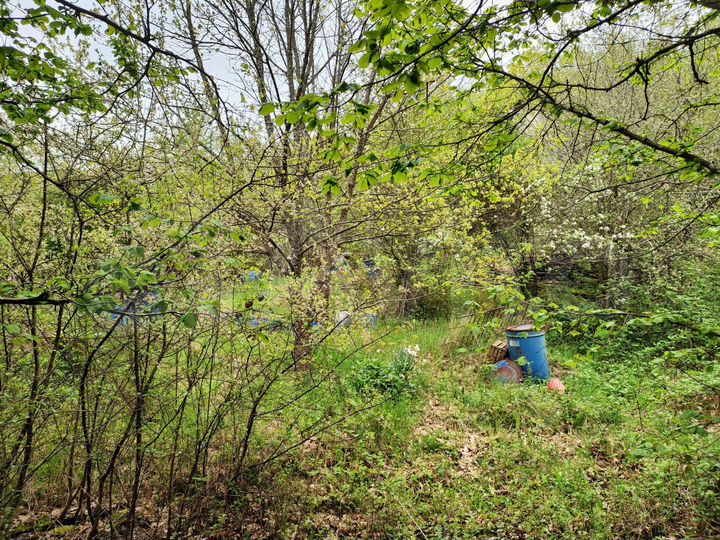 Участок 4 сот. (СНТ, ДНП)