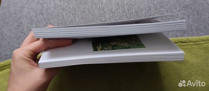 Растения калужского Бора