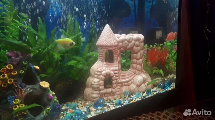 Замок в аквариум