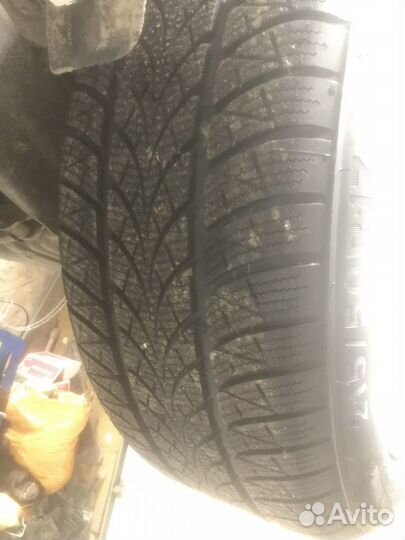 Triangle WinterX TW401 215/50 R17 95F