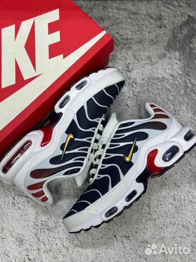 Кроссовки Nike air max TN plus мужские