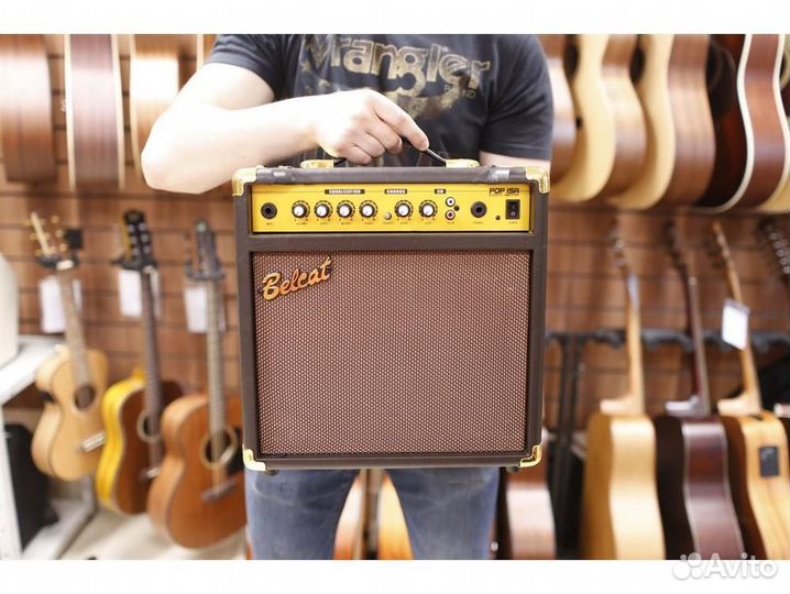 Belcat POP15A Комбоусилитель для электроакустическ