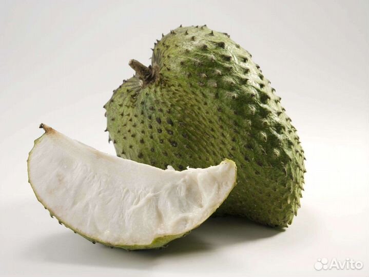 Саусеп экзотика