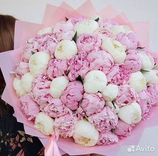 Пионы Букет пионов