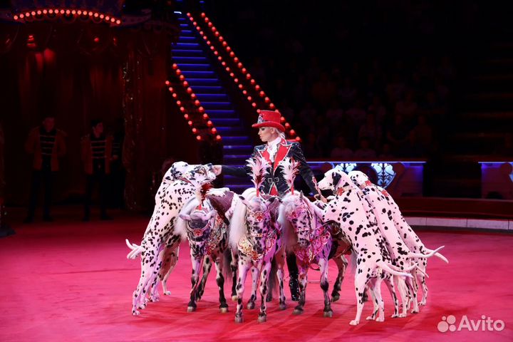 Билеты в Цирк Никулина на Цветном бульваре