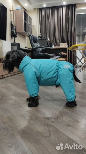 Одежда для собак мелких пород комбинезон