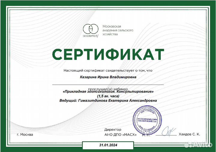 Зоотакси для кошек и собачек, передержка кошек