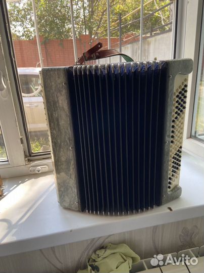 Баян Ростов Дон