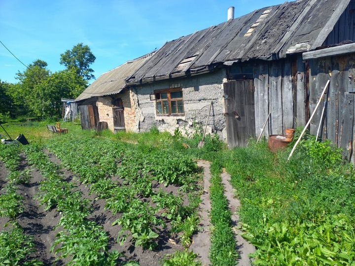 Участок 50 сот. (ИЖС)