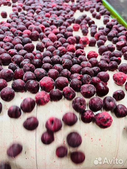 Поставки Вишни б/к 1 класс замороженной