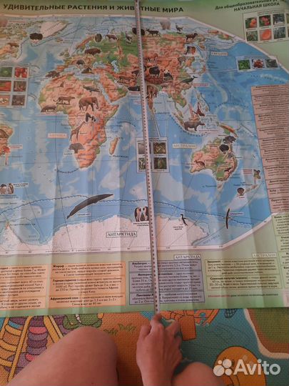 Огромная карта мира
