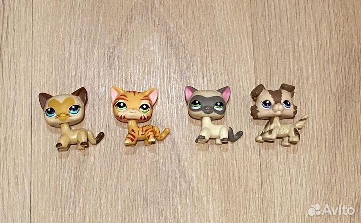 Лпс стоячки