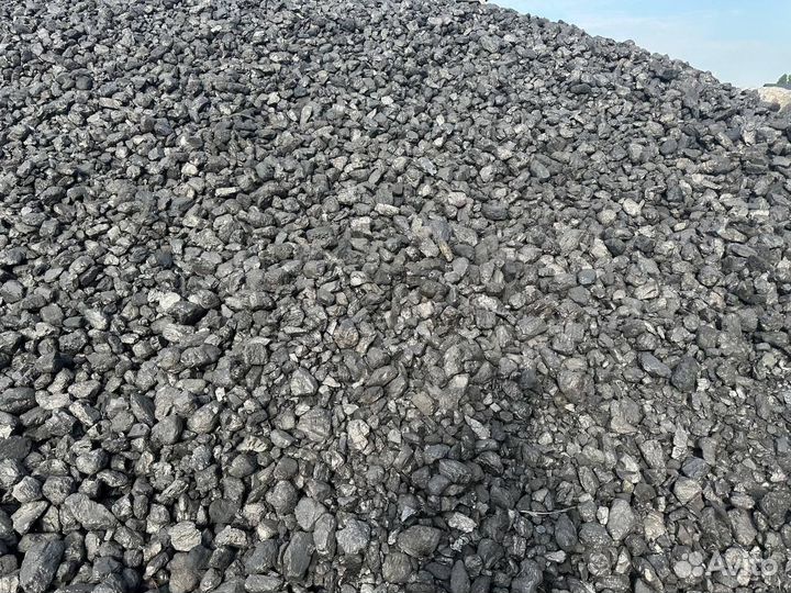 Антрацид, Древесный уголь