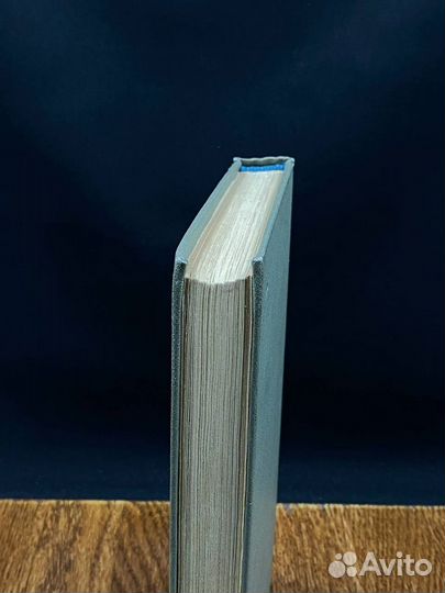 Иду на грозу