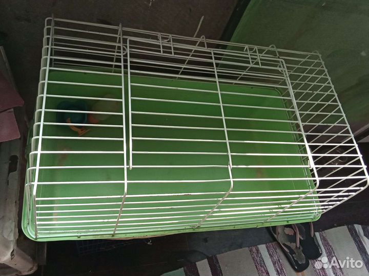 Клетка для грызунов большая